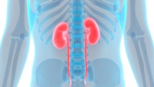Kidney Health Tips for National Kidney Month